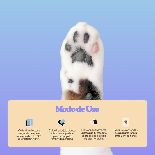 Hueya® – Huella Real de tu Mascota