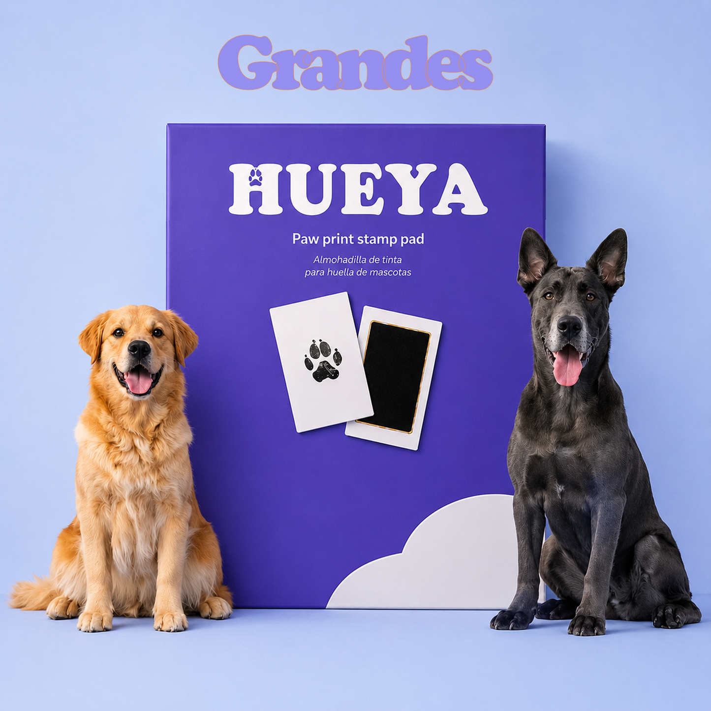 Hueya® – Huella Real de tu Mascota